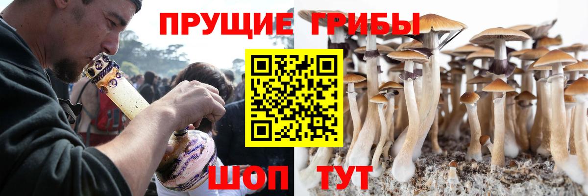 Галлюциногенные грибы Cubensis  Галлюциногенные грибы мухоморы  Вход с VPN  дарнет шоп  Казань 